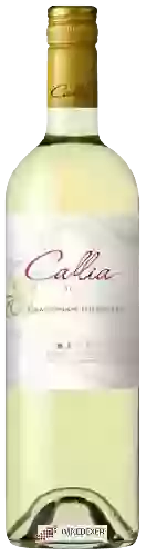 Wijnmakerij Callia - Alta Chardonnay - Torrontés