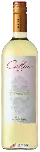 Wijnmakerij Callia - Alta Chardonnay