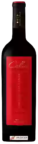 Wijnmakerij Callia - Blend de Terroirs Malbec