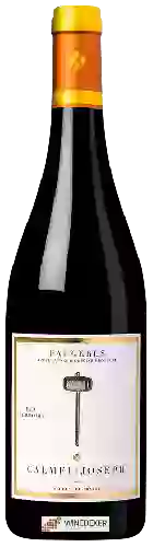 Wijnmakerij Calmel & Joseph - Les Terroirs Faugères