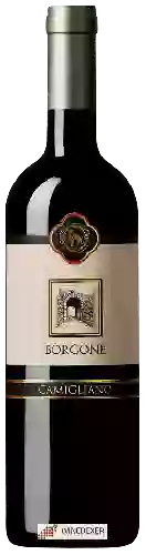 Wijnmakerij Camigliano - Borgone
