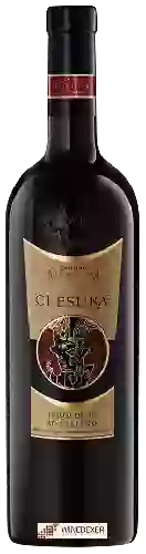 Wijnmakerij Cantina Rotaliana - Clesuræ Teroldego Rotaliano