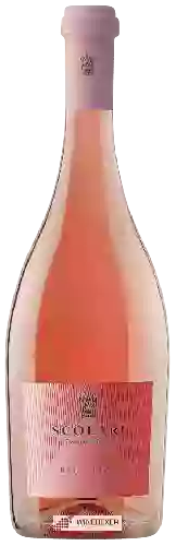 Wijnmakerij Cantine Scolari - Bellerica Premium
