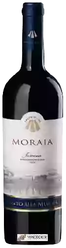 Wijnmakerij Canto Alla Moraia - Moraia
