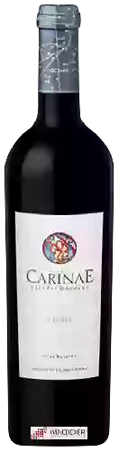 Wijnmakerij Carinae - Gran Reserva Malbec