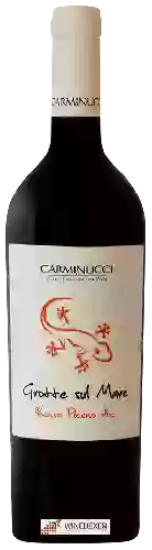 Wijnmakerij Carminucci - Grotte Sul Mare Rosso Piceno
