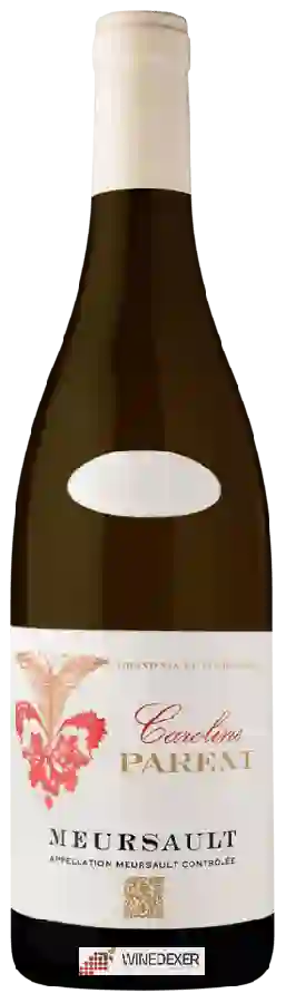 Wijnmakerij Caroline Parent - Meursault