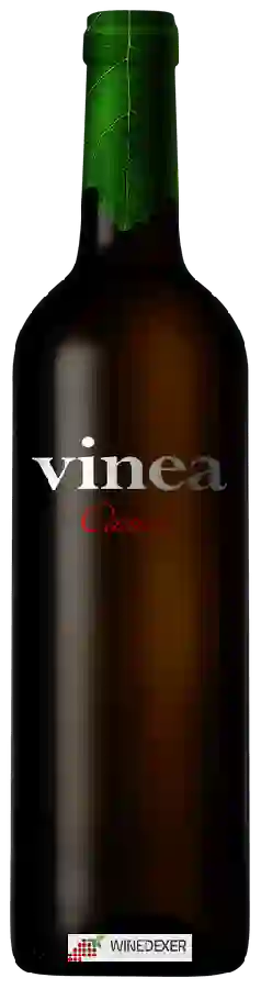 Wijnmakerij Cartuxa - Vinea Branco