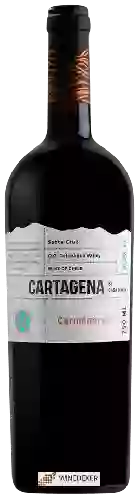 Wijnmakerij Casa Marin - Cartagena Carmenère