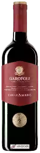 Wijnmakerij Garofoli - Colle Ambro Rosso Piceno