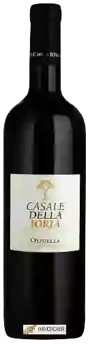 Wijnmakerij Casale della Ioria - Olivella