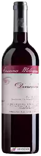 Wijnmakerij Cascina Melognis - Divicaroli Pelaverga