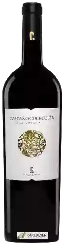 Wijnmakerij Castaño - Castaño Colección Cepas Viejas