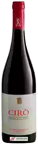 Wijnmakerij Cataldo Calabretta - Cirò Rosso Classico Superiore Wijnmakerij Cataldo Calabretta - Cirò Rosso Classico Superiore