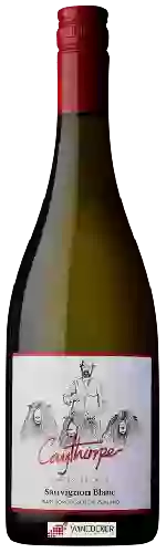Wijnmakerij Caythorpe - Sauvignon Blanc