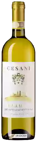 Wijnmakerij Cesani - Clamys Vernaccia di San Gimignano