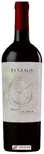 Wijnmakerij Pisano - Axis Mundi Super Premium Tannat
