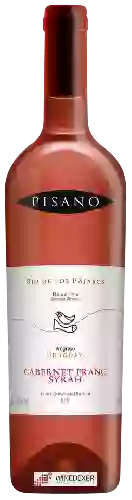 Wijnmakerij Pisano - Rio de Los Pájaros Reserva Cabernet Franc - Syrah