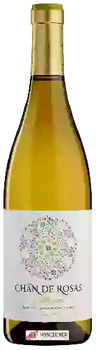 Wijnmakerij Chan de Rosas - Cl&aacutesico Albari&ntildeo