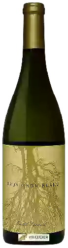 Wijnmakerij Channing Daughters - Mudd Vineyard Sauvignon Blanc Wijnmakerij Channing Daughters - Mudd Vineyard Sauvignon Blanc