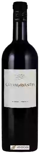 Wijnmakerij Cheval des Andes - Mendoza
