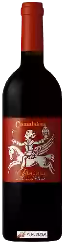 Wijnmakerij Cinciole - Camalaione