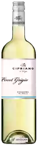 Wijnmakerij Cipriano - Pinot Grigio