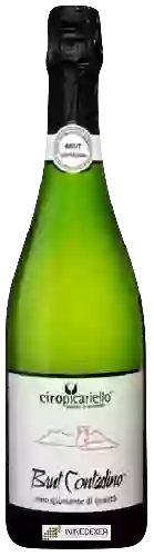 Wijnmakerij Ciro Picariello - Brut Contadino