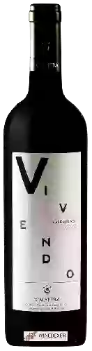 Wijnmakerij Calyptra - Vivendo Assemblage Reserva