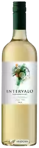 Wijnmakerij Echeverría - Intervalo Sauvignon Blanc