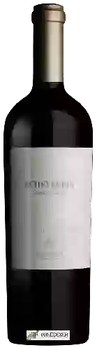 Wijnmakerij Echeverría - Limited Edition Cabernet Sauvignon