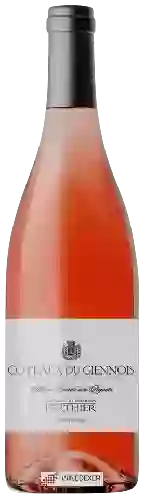 Wijnmakerij Clement et Florian Berthier - Coteaux du Giennois Rosé