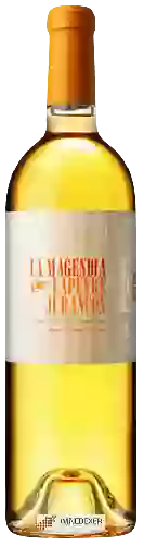 Wijnmakerij Clos Lapeyre - La Magendia
