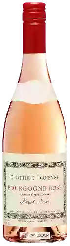 Domaine Les Temps Perdus - Clotilde Davenne - Bourgogne Rosé Pinot Noir