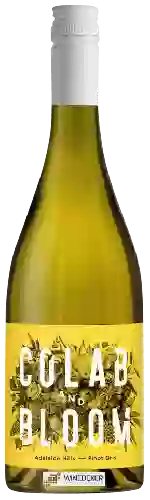 Wijnmakerij Colab and Bloom - Pinot Gris