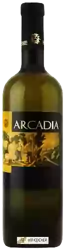 Wijnmakerij Coletti Conti - Arcadia Bianco