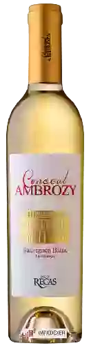 Wijnmakerij Conacul Ambrozy - Sauvignon Blanc Late Hervest