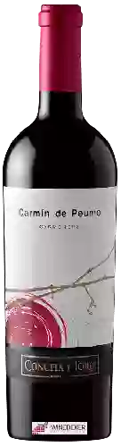 Wijnmakerij Concha y Toro - Carmín de Peumo Carmenère