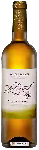 Wijnmakerij Condes de Albarei - Salneval Albariño