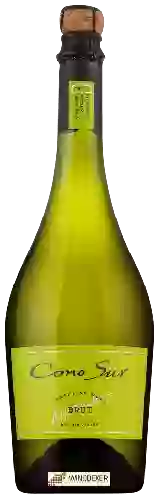 Wijnmakerij Cono Sur - Sparkling Brut