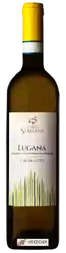 Wijnmakerij Corte Sermana - Lugana Cromalgo