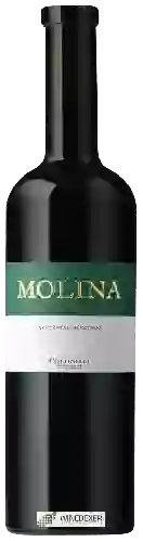 Wijnmakerij Weinbau Cottinelli - Molina