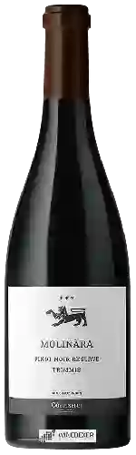 Wijnmakerij Weinbau Cottinelli - Molinara Reserve Trimmis Pinot Noir Wijnmakerij Weinbau Cottinelli - Molinara Reserve Trimmis Pinot Noir