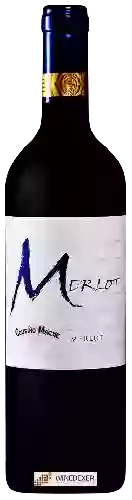 Wijnmakerij Cousiño-Macul - Merlot