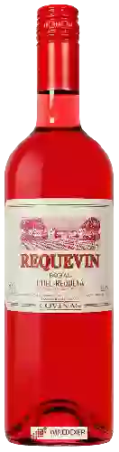 Wijnmakerij Coviñas - Requevin Bobal