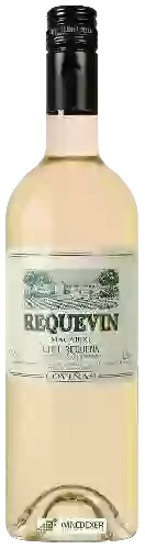 Wijnmakerij Coviñas - Requevin Macabeo