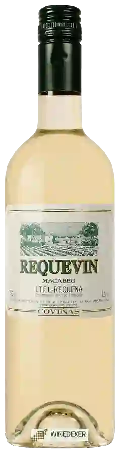 Wijnmakerij Coviñas - Requevin Macabeo Wijnmakerij Coviñas - Requevin Macabeo