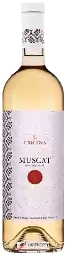 Wijnmakerij Cricova - Muscat