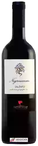 Wijnmakerij Cupertinum - Negroamaro Salento
