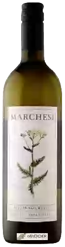 Wijnmakerij David Marchesi - Sauvignon Blanc